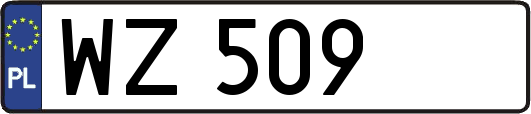 WZ509