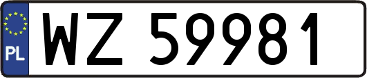 WZ59981