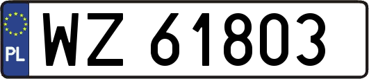 WZ61803