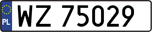 WZ75029