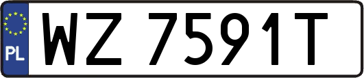 WZ7591T