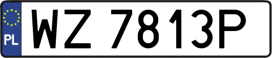 WZ7813P