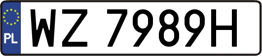 WZ7989H