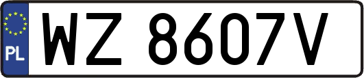WZ8607V