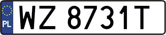 WZ8731T