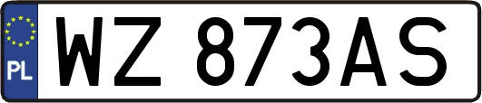 WZ873AS
