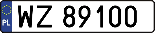 WZ89100