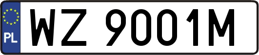 WZ9001M