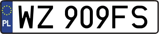 WZ909FS