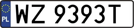 WZ9393T