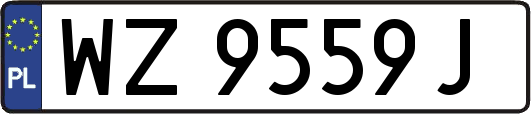 WZ9559J