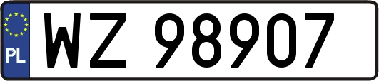 WZ98907