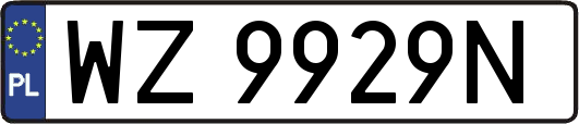 WZ9929N