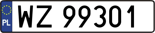 WZ99301