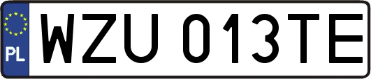 WZU013TE