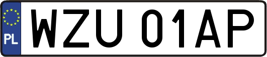 WZU01AP