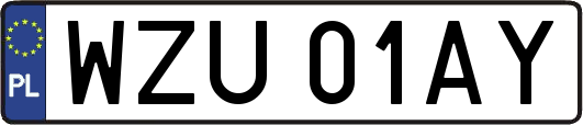 WZU01AY