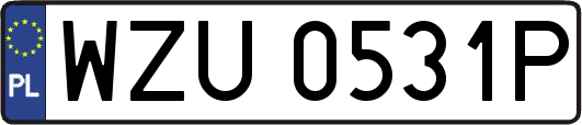 WZU0531P