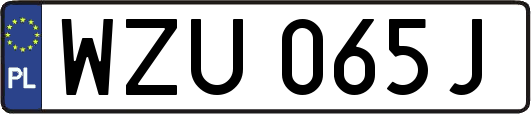 WZU065J