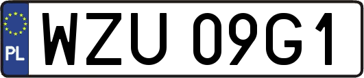 WZU09G1