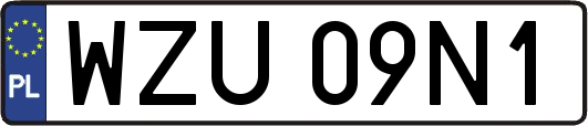 WZU09N1