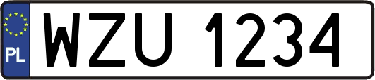 WZU1234