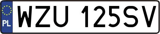 WZU125SV