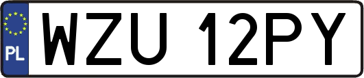 WZU12PY