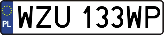 WZU133WP