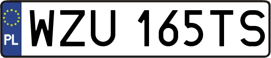 WZU165TS