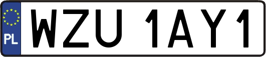 WZU1AY1