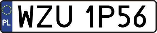 WZU1P56