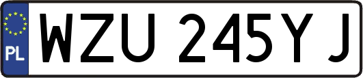 WZU245YJ