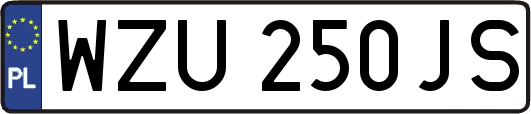 WZU250JS