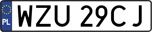 WZU29CJ