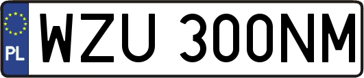 WZU300NM