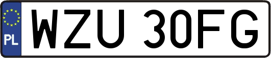 WZU30FG
