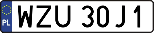 WZU30J1