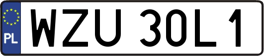 WZU30L1