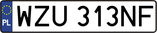 WZU313NF
