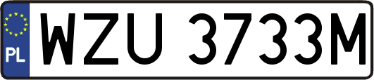 WZU3733M