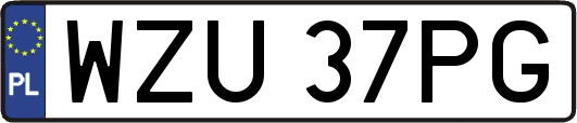 WZU37PG