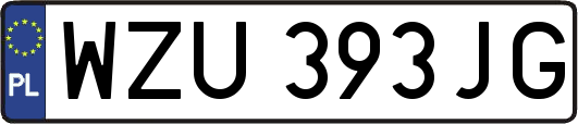 WZU393JG