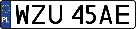 WZU45AE