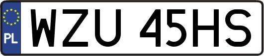 WZU45HS