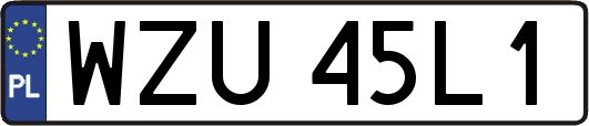 WZU45L1