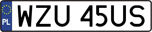 WZU45US