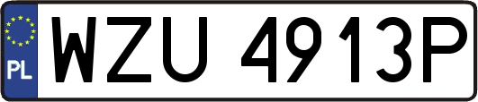 WZU4913P