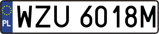 WZU6018M