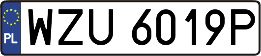 WZU6019P